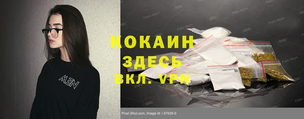 гашик Вязники