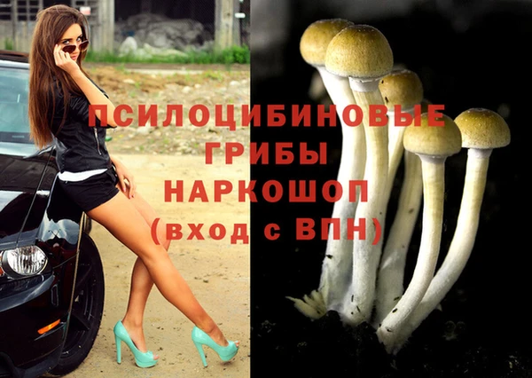 MESCALINE Вяземский
