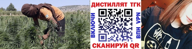Купить  Луга  Дистиллят ТГК гашишное масло 