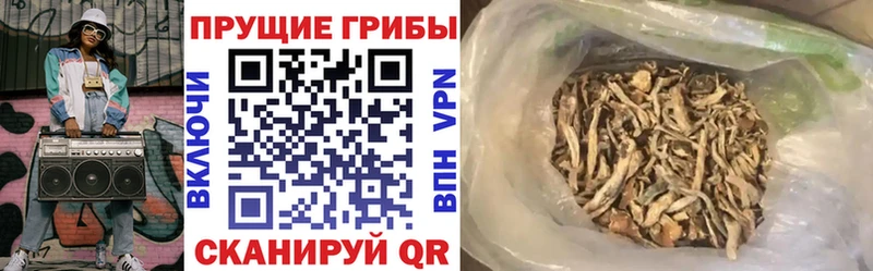 Купить закладки  Луга  Галлюциногенные грибы Psilocybe 